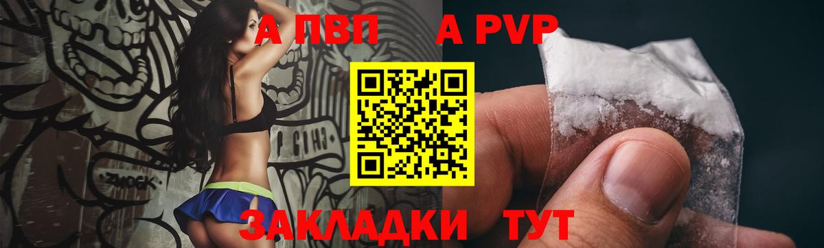 Альфа ПВП СК КРИС Кандалакша