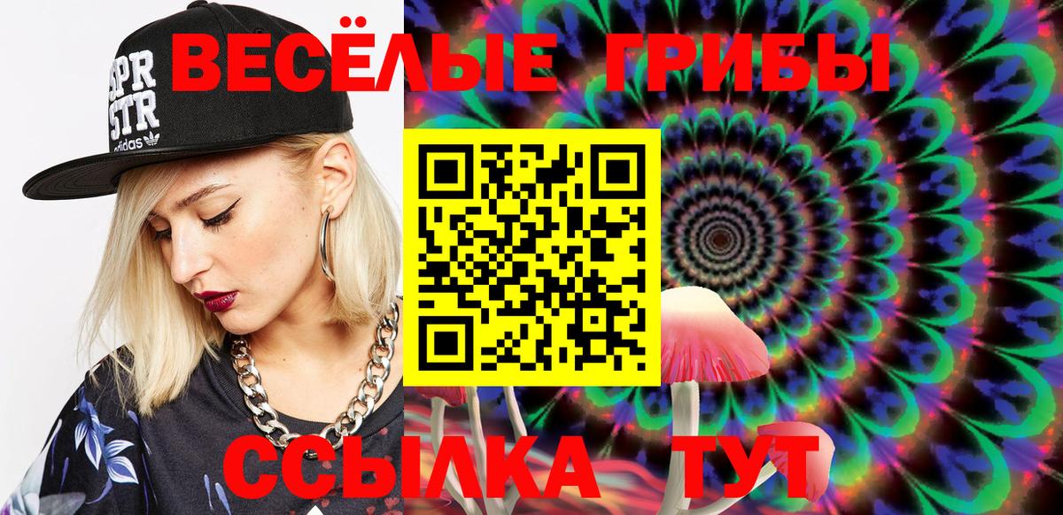 Псилоцибиновые грибы Cubensis Кандалакша