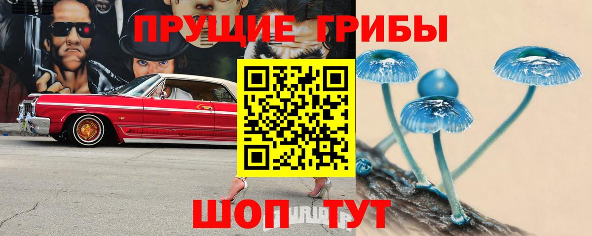 Галлюциногенные грибы Cubensis  Вход с VPN  Псилоцибиновые грибы Magic Shrooms  Кандалакша 